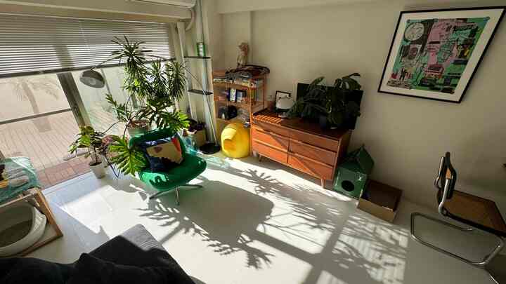 明るい白い床にグリーンのアームチェア、多様な室内植物と猫用グッズが配置された温かみのあるナチュラルなリビング