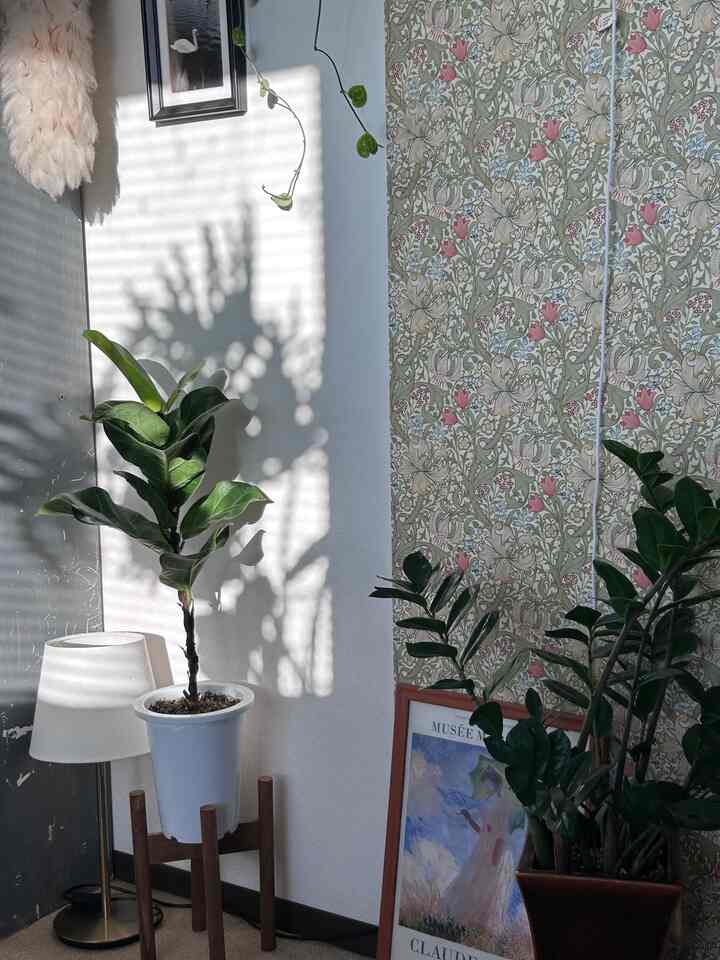 太陽の光もインテリアに必要よね🛋️


#部屋作り 
#観葉植物 
#イケア 
#ウォールデコ 