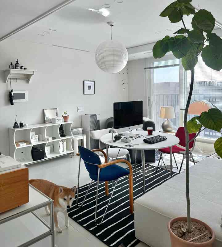 白とネイビー調のリビング、丸テーブルと多様な椅子、犬と植物が配置されたモダンな雰囲気のインテリア