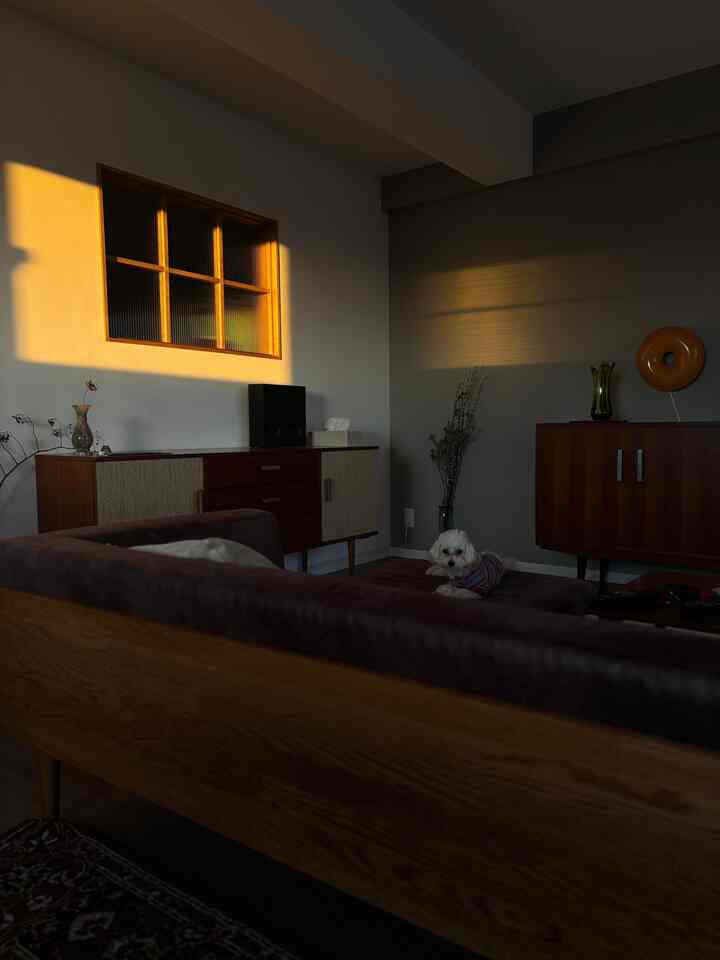 この部屋は西陽がキレイだよね。
西側の角部屋、さらに最上階で暑さが心配でしたが夕日の美しさを見たらこの部屋にして正解だったと思う。
暑さも意外とそこまで深刻じゃない。

#ミッドセンチュリー #角部屋 #リビング