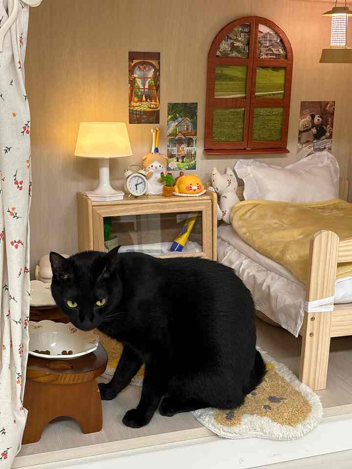 黄色と茶色のトーンの寝室、猫とかわいい小物が配置されたナチュラルな雰囲気のあるインテリア