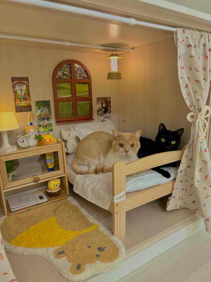 Natural wood tones and beige cat room featuring a mini wooden bed with two cats and charming decor creating a cozy atmosphere