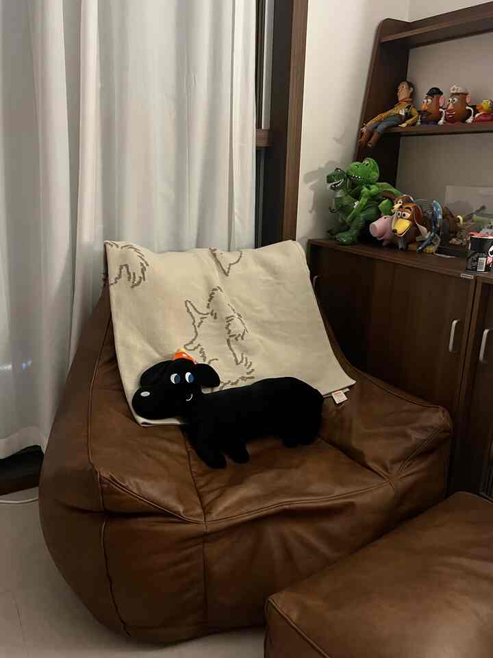 Cozy living room corner featuring a brown armchair with cream throw, a black dog plush toy, and a cabinet with toys