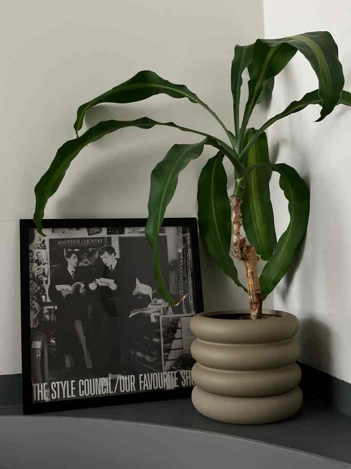 Natural corner interior featuring a green plant in a beige pot beside a black framed record poster, creating a simple and calm atmosphere