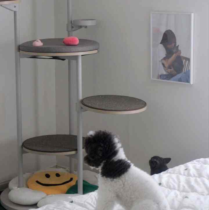 白とグレーの色調の寝室、キャットタワーと犬と猫が配置された雰囲気のあるペット対応の空間