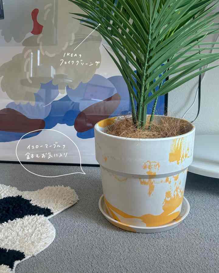 Pot lucu dan hijau palsu 💛🌿
Tanaman yang fokus pada pertumbuhan terpaksa keluar rumah.
Saya merasa kesepian di rumah! ? Jadi saya membelinya...☺️

#Tanaman hias #鉢植え