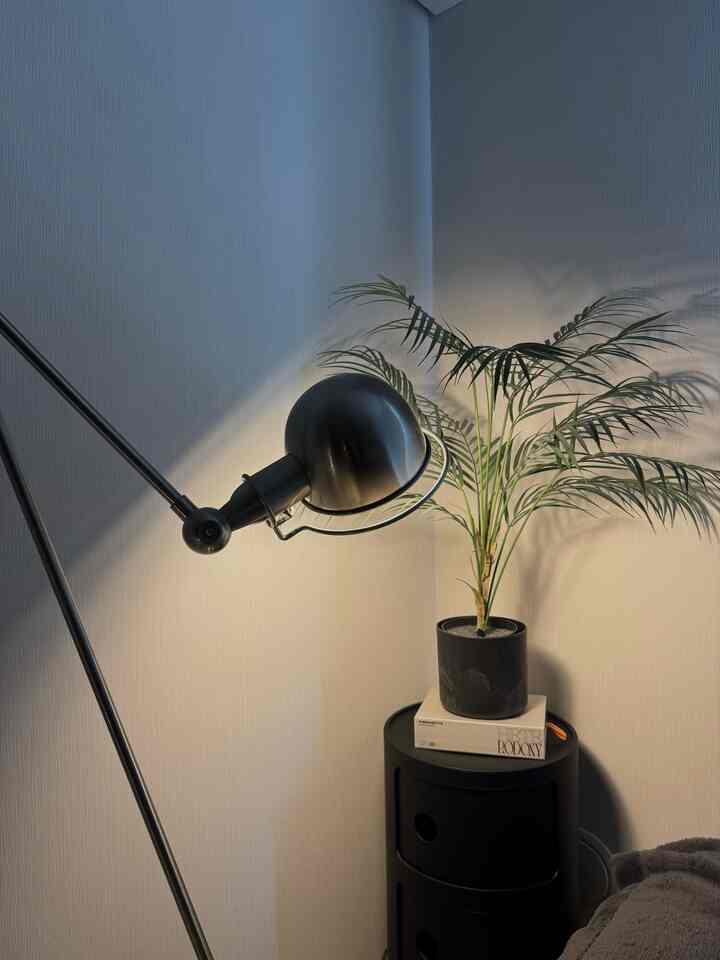Natural-toned corner space featuring a black lamp and artificial areca palm plant blending into a cozy atmosphere