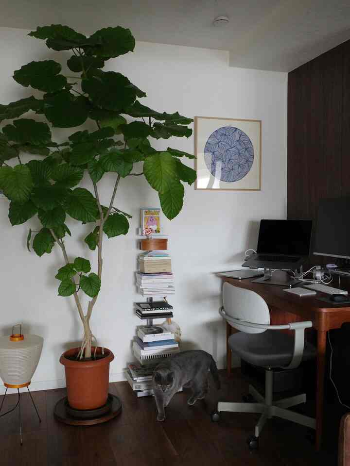 白い壁と茶色の木製床の書斎、モダンなインテリアに大きな緑の植物と猫、本棚が配置された落ち着いた空間