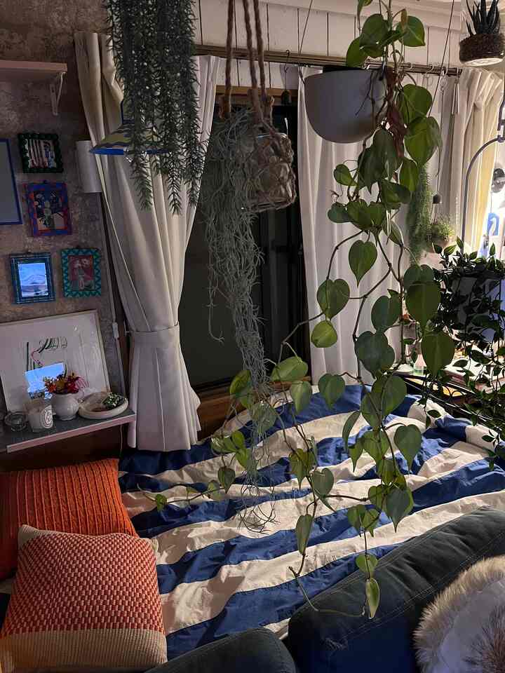 ナチュラルな色調の寝室、青いストライプの寝具と多数の植物が配置された雰囲気のある空間