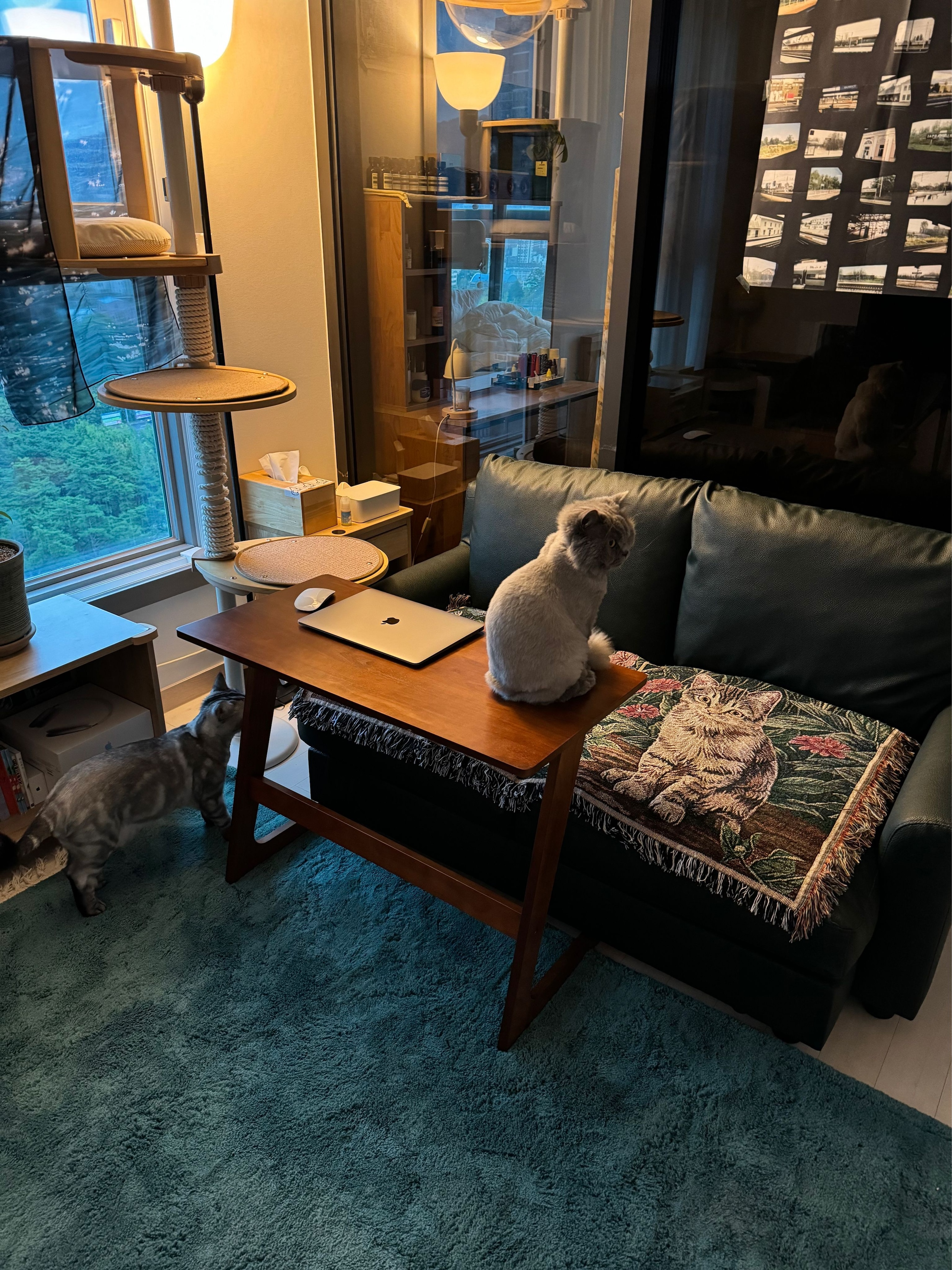 Solid Wood Side Table user photo
