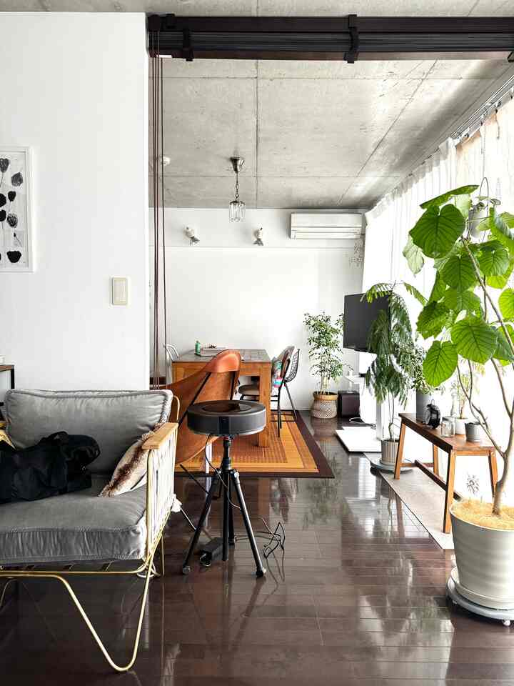 Wood tone flooring living room featuring a gray sofa, wooden dining table, and abundant green plants with bright natural light