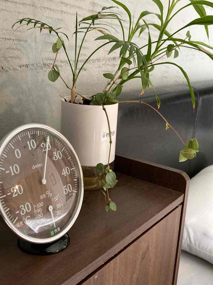 寝室は湿度計で温度と湿度を一括管理！
睡眠の質に大きく影響します👍

#寝室小道具 #ベッドルーム　#一人暮らし寝室　#北欧家具