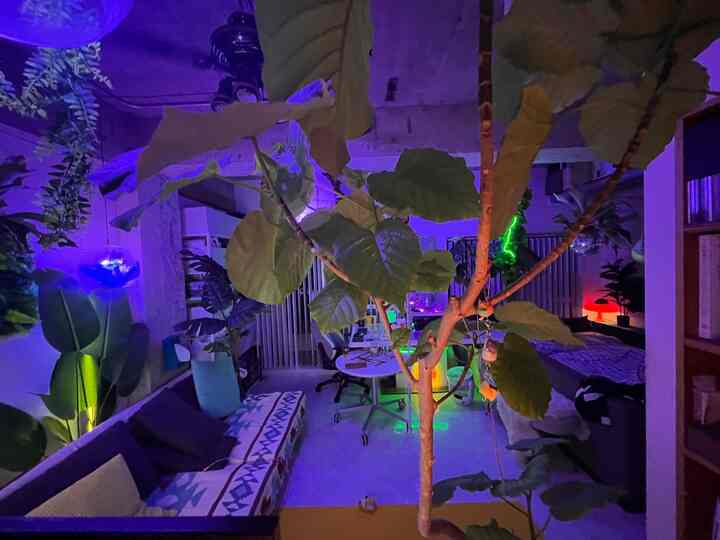 さぶあかです。

久々にネオンネオンした色味で過ごしてます。暑いと寒色照明にしがちです。

模様替えしてお部屋が広くなってから、断捨離欲がすごいです。早くバルコニーが使いたいのですが工期が10月末から12月まで知らぬ間に延長という悪徳運用でまだしばらくおあづけです...

最近はPCゲームに手を出していて、ワークスペースが侵食されてます。FPSってむつかしい...

#ワンルーム #賃貸 #観葉植物 #リノベーション #ゲーミングチェア #ゲーミング部屋 