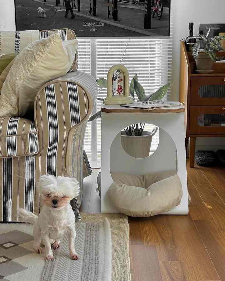 ブラウンの木床とホワイトのブラインドがあるナチュラルなリビング、ストライプのソファとペット用ベッドが配置された雰囲気のあるインテリア