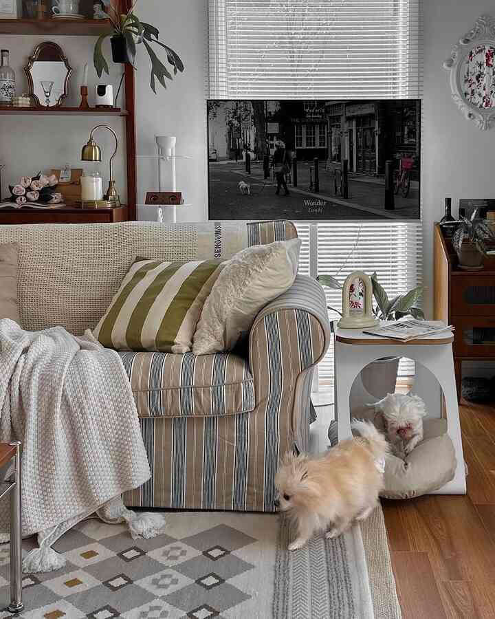 ベージュとホワイトの色調のリビング、ストライプのソファと小さなペットの犬、ペットベッドが配置された温かみのあるインテリア