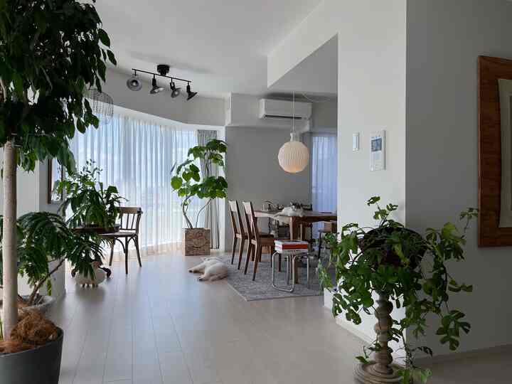 White and green toned dining room featuring a wooden dining table and multiple plants creating a natural atmosphere