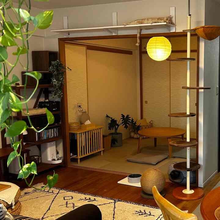 Natural wood-toned small living room featuring warm lighting, cat tower, and a resting cat for a cozy pet-friendly interior