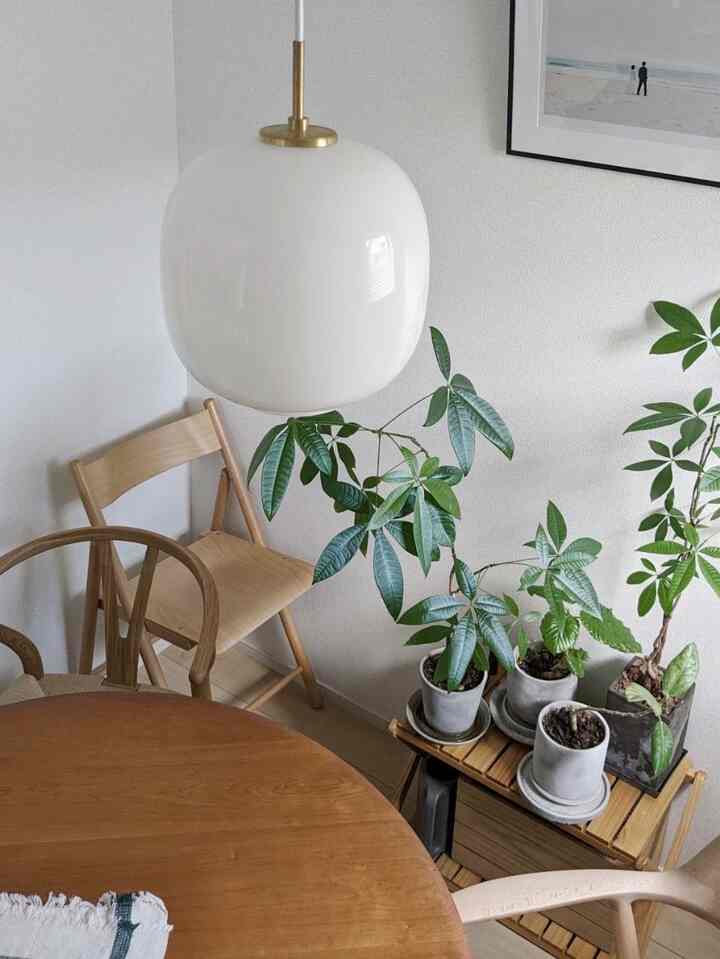 秋は無性にワクワクします✨

#louispoulsen #VL45 #hiroshimaarmchair #hiroshima #カイクリスチャンセン #ルイスポールセン #ユニバースダイニングテーブル #ラジオハウスペンダント 