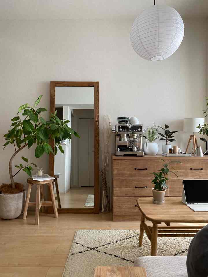 Wood tone natural living room featuring an espresso machine, plants, and wooden furniture creating a cozy atmosphere