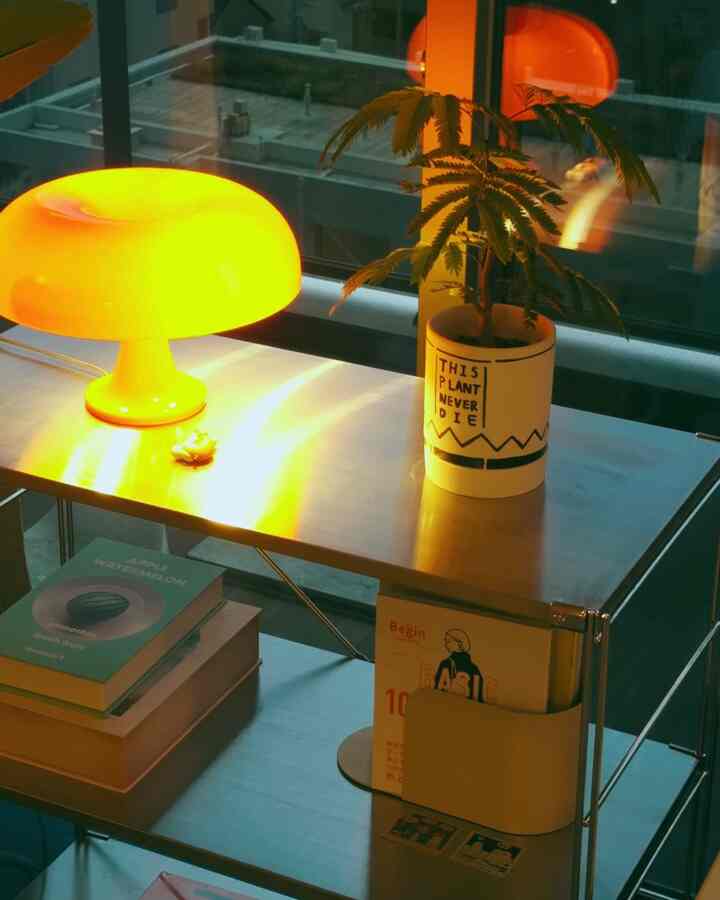 今回は長く生きってほしい願いを込めってstandard  productsから買った500円の植木鉢にマッキーで願いを書いた😂 
#standardproducts #artemide #diy #緑