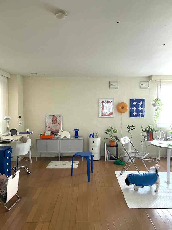 白とウッドトーンの背景にブルーとオレンジのアクセントがある1LDKのリビング、ペットの犬や植物、モダンな家具が調和した印象的な空間