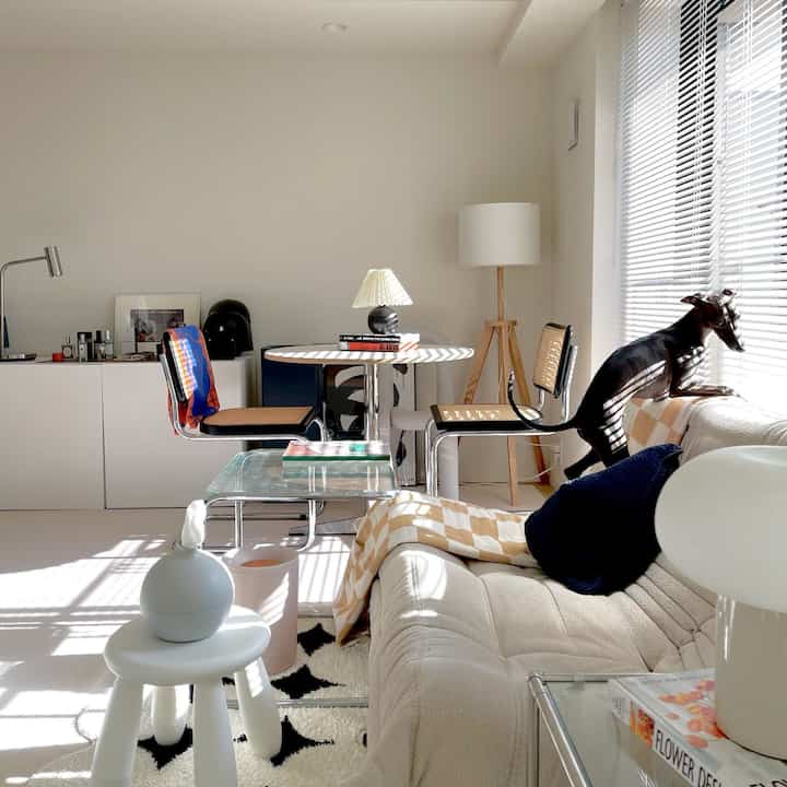 明るく清潔感のある白と茶色のリビング、ミディアムサイズのソファとアームチェア、窓辺に犬が座っている印象的な空間