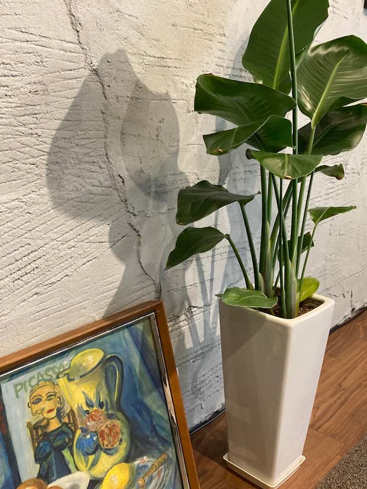 #韓国・アジアン #北欧家具　#オーハウス 