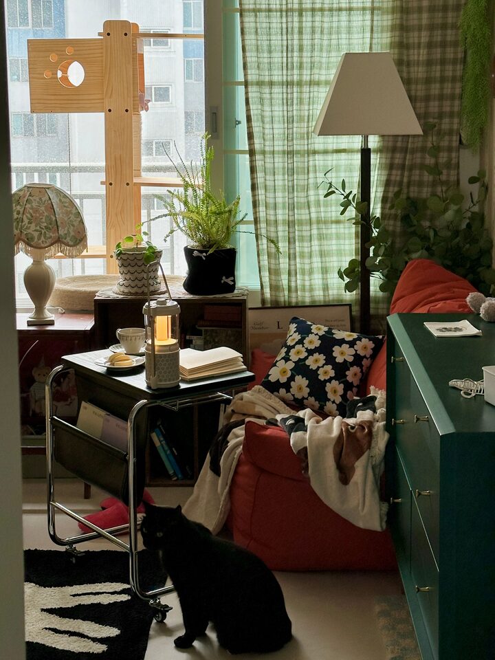 short form carousel card thumbnail