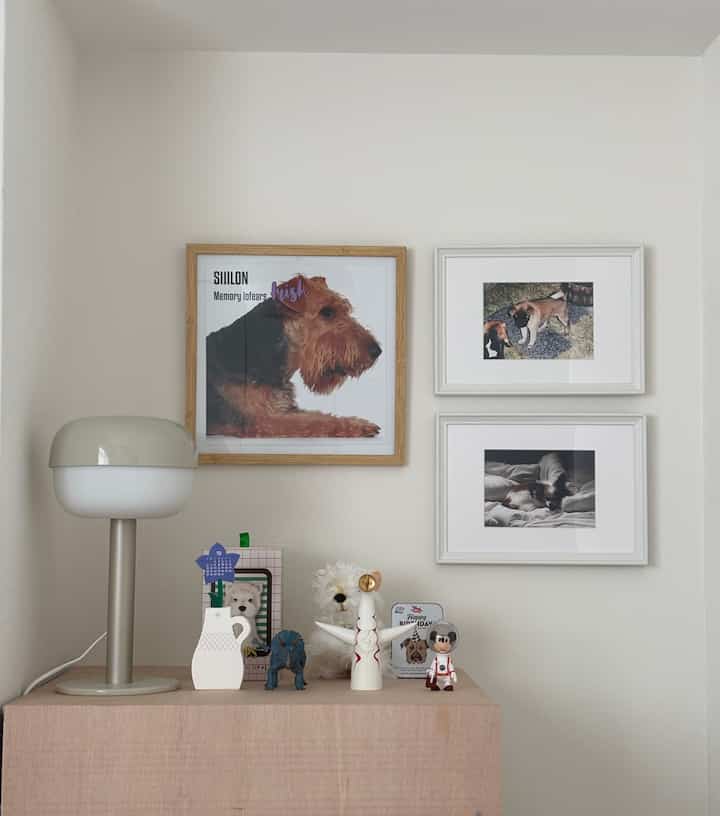 白とナチュラルカラーの寝室の壁、犬の写真額縁とテーブルランプが置かれた温かみのある空間