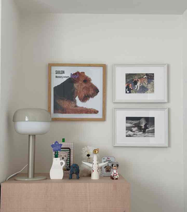 新しく犬が増えた。
Flying TigerのLPレコード用の額縁は
バンブーチックなフレームが高見えすぎる。

#ベッドルーム #女子部屋 
