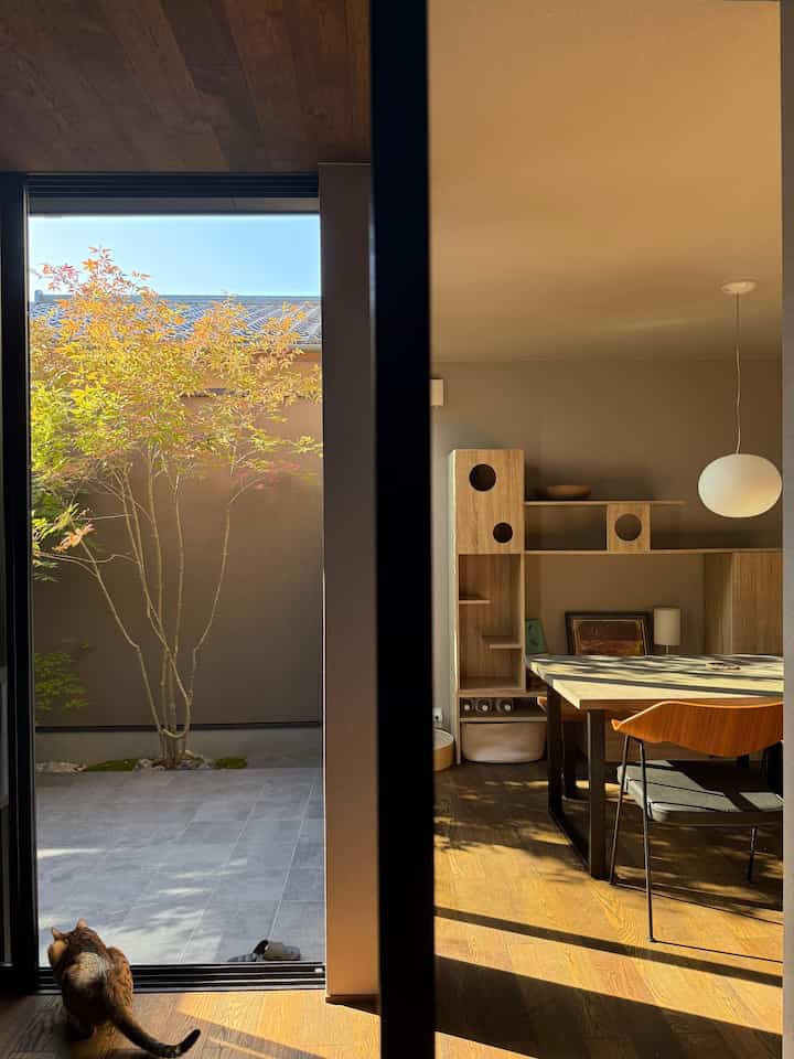 暖かい木の色調とナチュラルカラーのダイニングルーム、キャットタワーと猫がいる雰囲気のある空間