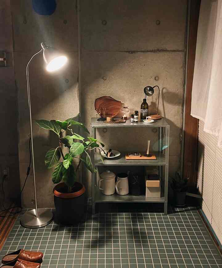 A dark gray concrete wall room with metal shelving, a floor lamp, and a leafy plant creating a vintage atmospheric small indoor space