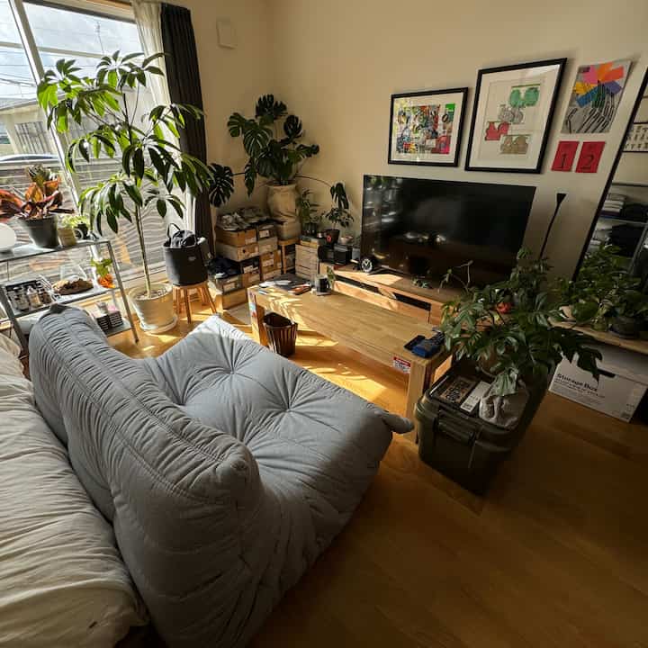 Natural wood-tone floor and gray sofa in a compact living room for single household, featuring various indoor plants and sunlight