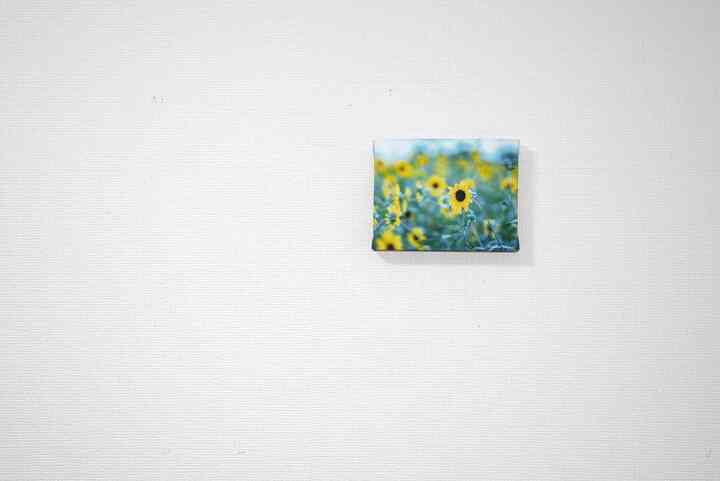 日常の何気ない景色をキャンバスに
部屋を着飾る一枚のフォトアートパネルインテリア

「ヒマワリ」

いつかあなたの部屋を着飾る日が訪れますように。

#キャンバス #キャンバスパネル #フォトアート #フォトアートパネル #おしゃれ部屋 #部屋コーデ #インテリア #インテリアパネル #キャンバスボード #MOATJIANG #モートジャング #ひまわり #向日葵 #ヒマワリ #ひまわり畑