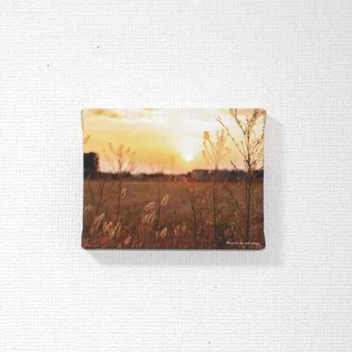 太陽とむぎ ポスター