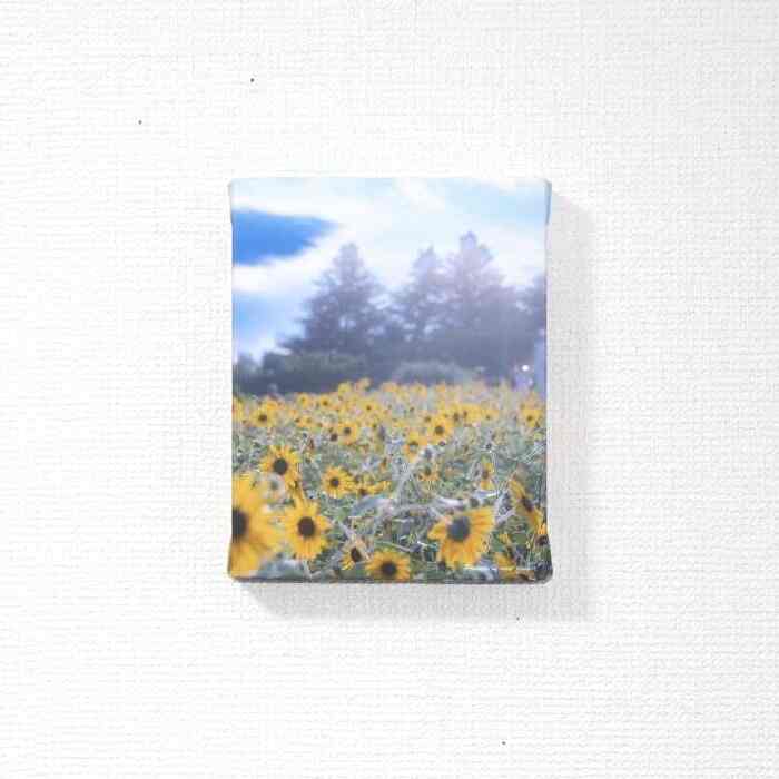 ひまわり畑 ポスター