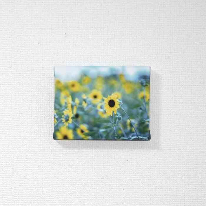 ヒマワリ ポスター