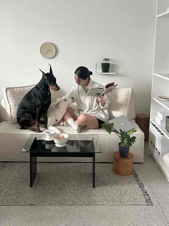 白と黒のトーンのリビング、ソファの上で女性と二匹の犬がくつろぎながら本を読むシンプルな空間