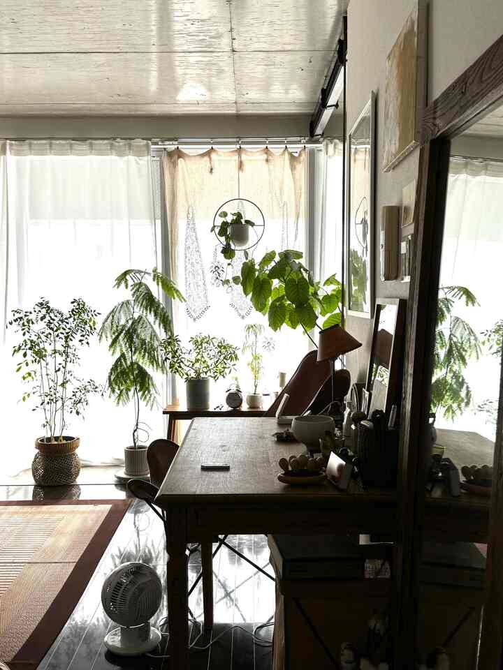 逆光ですが玄関からの眺めがお気に入り🌿
#リビング #1LDK #観葉植物 #green 