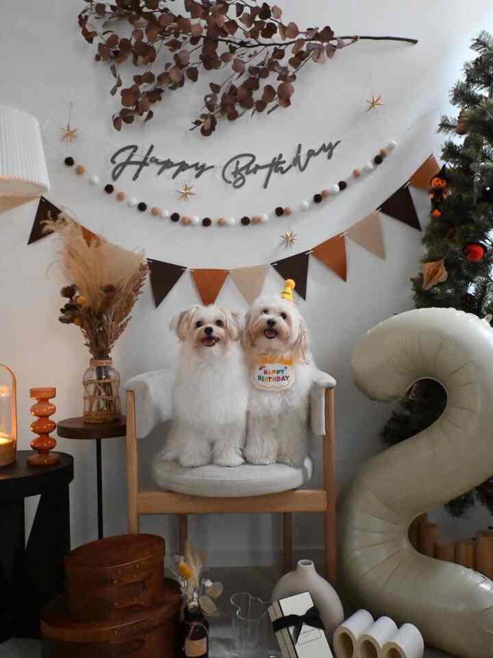 ベージュと木目調のナチュラルなダイニング空間、中央に犬が二匹座る、雰囲気のあるパーティースペース