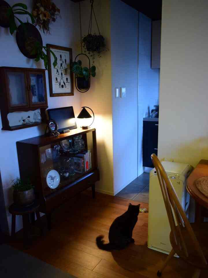 ブラウンの木目調のリビング、ヴィンテージ家具と猫、テーブルランプや植物が配置された雰囲気のある空間