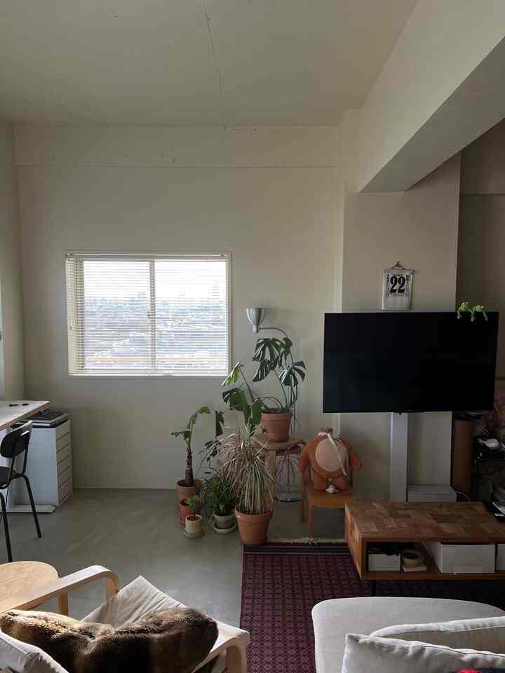 Emergency evacuation of plants 🪴

#renovation #interiordesign #interiorstylists #interiordecor 
#vintagefurniture #海外インテリア #リノベーションマンション #ヴィンテージインテリア #ヴィンテージ家具 #ミッドセンチュリー家具 #モダンインテリア #モダンリビング #モダン住宅 #整理収納 #見せる収納 #暮らしの記録 #シンプ living #日々の暮らしを楽しむ #くらしを楽しむ #部屋作り #部屋紹介