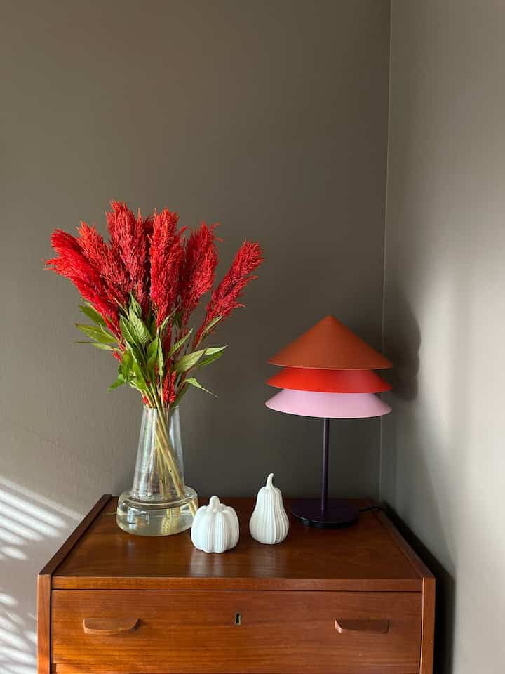 Hari mulai terasa seperti musim gugur, jadi aku membeli beberapa bunga.
Warna merah cerah cocok dengan dinding dan lampu dan lucu.
#Interior #花 #花のある暮らし #カラフル
#Interior penuh warna #colorful #color #flower