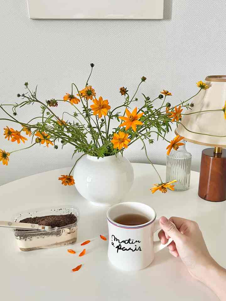 Pembaruan bunga kosmos🧡
Hari-hari ini, saya dipenuhi dengan kegembiraan melihat kosmos bermekaran setiap kali saya bangun!

Aku menikmatinya sambil menyantap tiramisu kastanye yang kubeli di pagi hari dan secangkir teh hangat😌🍂


#ftc10story #오늘장면한컷 #일상 #가을일상 #코스모스 #가을 #화이트테이블 #홈카페 #모던하우스머그 #티타임 #티라미수 #디저트타임 
