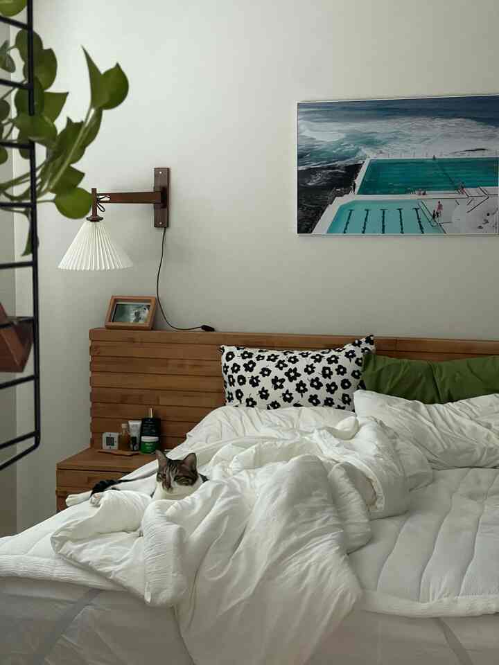 #penataan kamar tidur


Minggu berawan yang membuat Anda ingin berguling-guling di tempat tidur


#RumahKehidupan #Kamar Tidur #Tempat Tidur #Tempat TidurPutih #Rangka Tempat Tidur #Rangka #RangkaInterior #RumahTempat TinggalKucing #Kucing #PemilikKucing #Rumahdenganhalaman #PemilikKucing #RuangTempatKucingHidupbersama #IkutiSaya #Saya juga seorang pencipta #Pencahayaan #Pencahayaan Vintage #Kamar Tidur #Dekorasi Kamar Tidur #Pencahayaan Kamar Tidur 