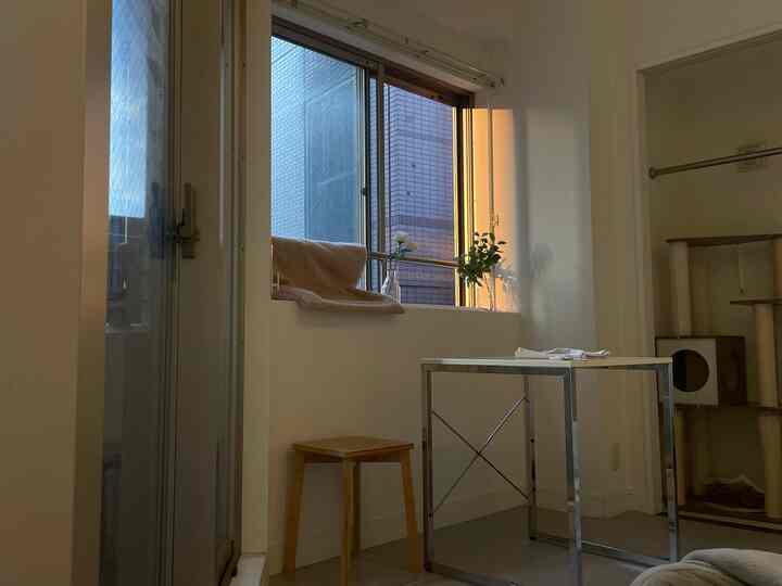 白と木目調が調和する小さなホームオフィス空間、シンプルでペットに優しいインテリア