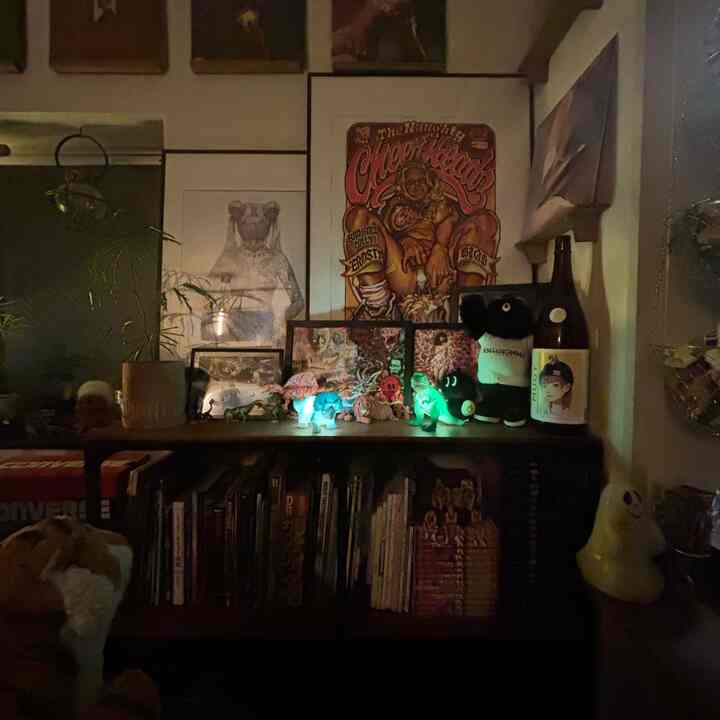 夜が好きだな
#植物
#アメトイ
#アメリカン
#雑貨