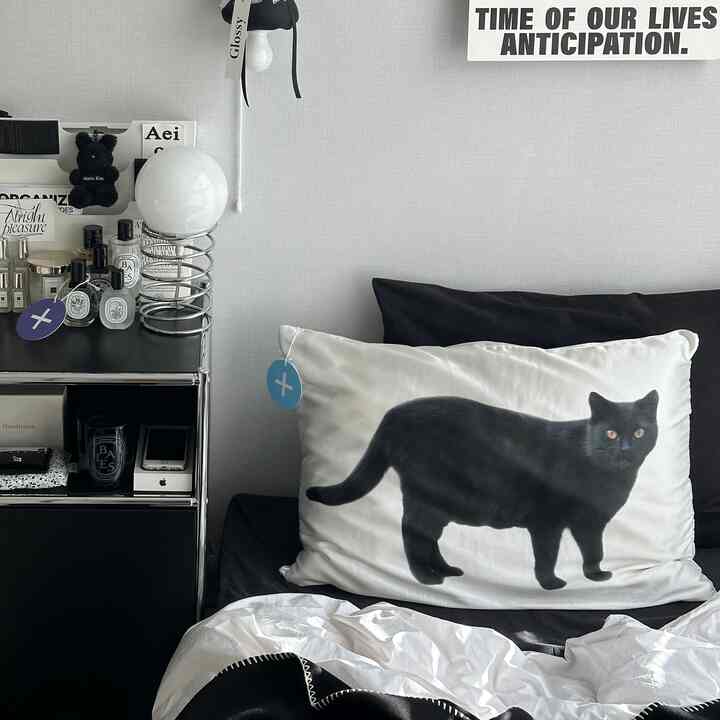 Bright white bedroom with large pillow featuring black cat print, modern and tidy atmosphere