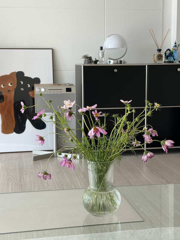 白い壁と黒いキャビネットの背景のリビングルームに、透明な花瓶に入ったピンクのコスモスが置かれたナチュラルな雰囲気のインテリア