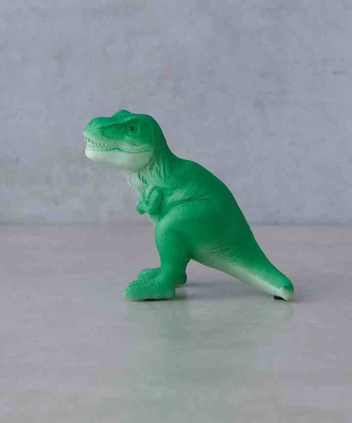 LED DINOLIGHT 恐竜のライト［4種］